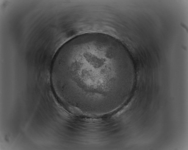 X0000095691505200801081237