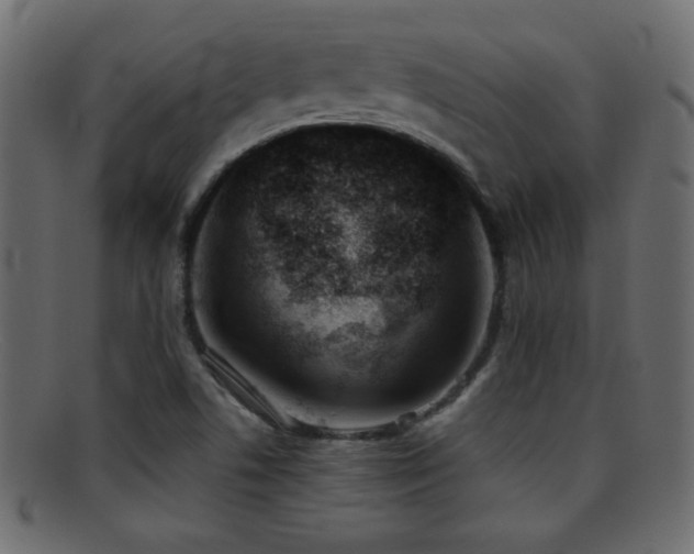 X0000095691506200801081237