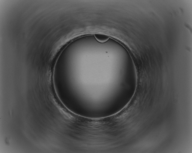X0000095691507200801081237
