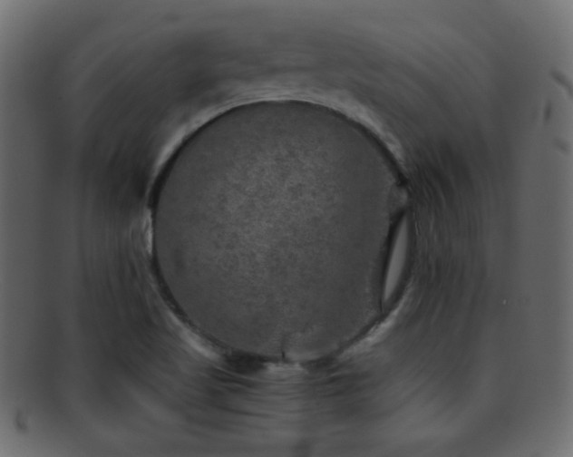 X0000095691509200801081237