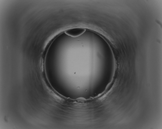 X0000095691510200801081237