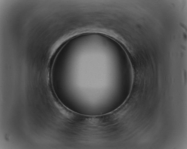 X0000095691511200801081237