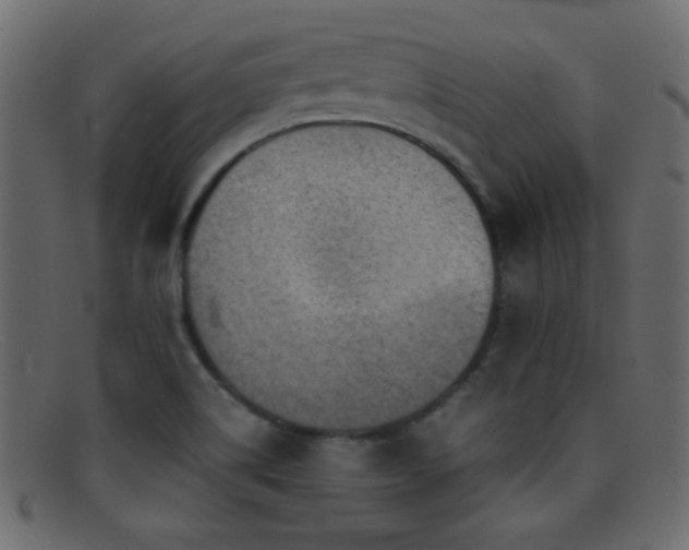 X0000095691514200801081237