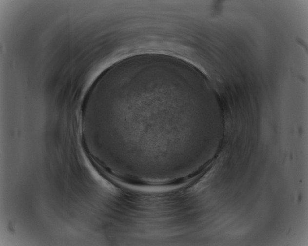 X0000095691515200801081237
