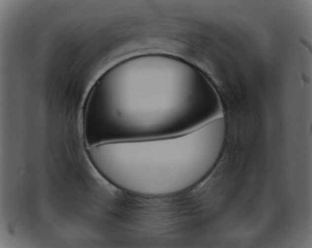 X0000095691516200801081237