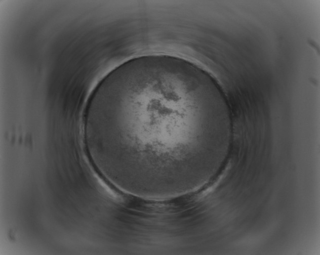 X0000095691517200801081237
