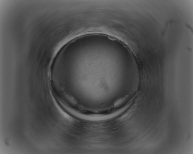 X0000095691519200801081237