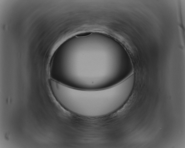 X0000095691520200801081237