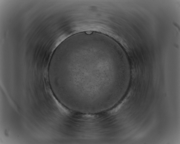 X0000095691521200801081237