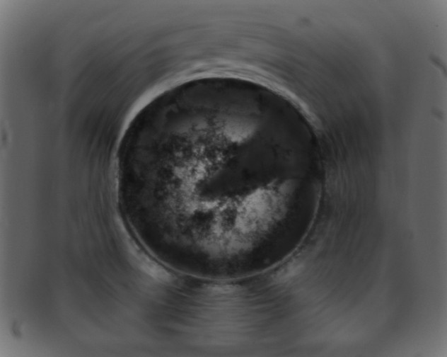 X0000095691522200801081237