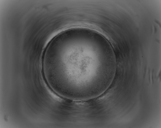 X0000095691523200801081237