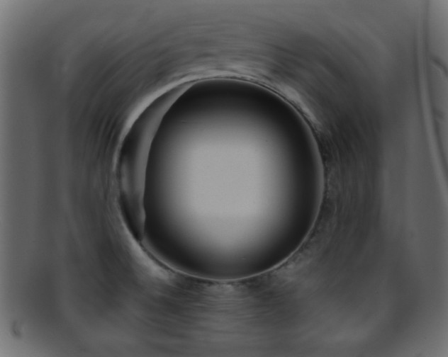 X0000095691524200801081237