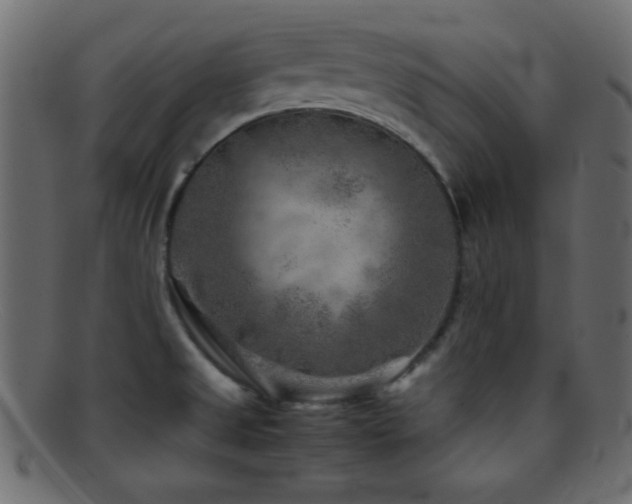 X0000095691525200801081237
