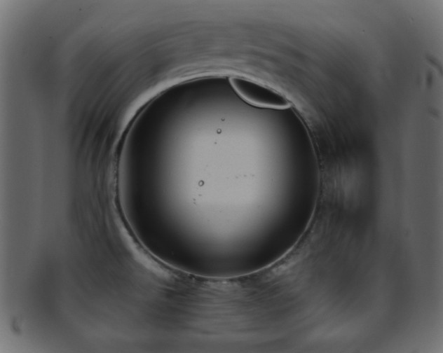 X0000095691526200801081237