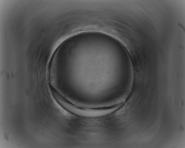 X0000095691527200801081237
