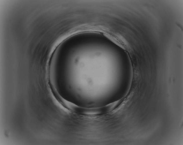 X0000095691528200801081237