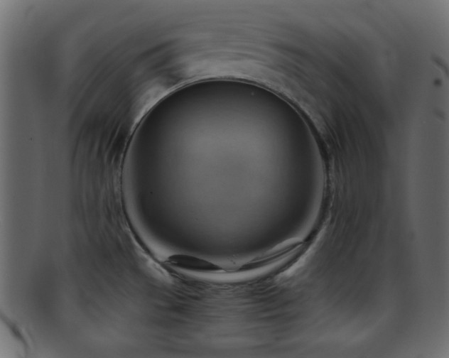 X0000095691529200801081237