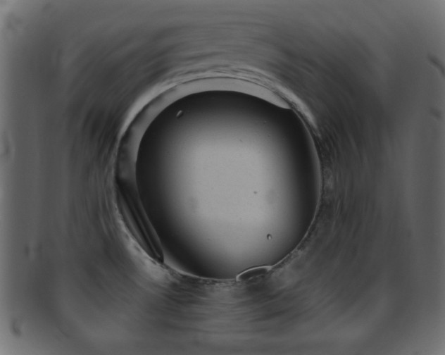 X0000095691530200801081237