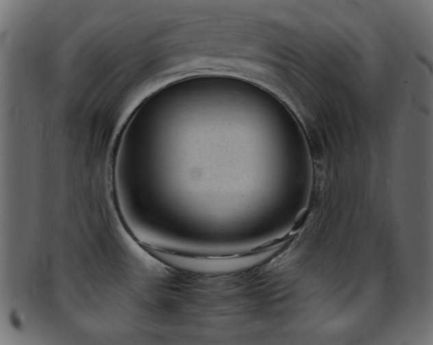 X0000095691531200801081237
