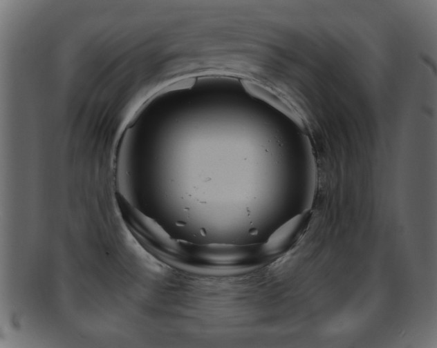 X0000095691532200801081237