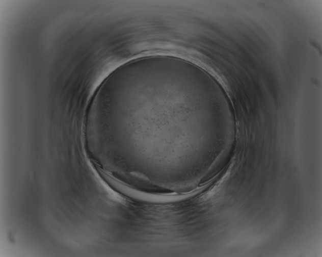 X0000095691533200801081237