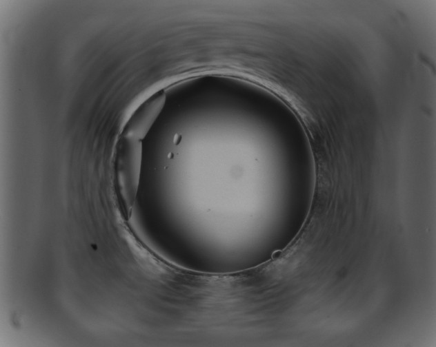 X0000095691534200801081237
