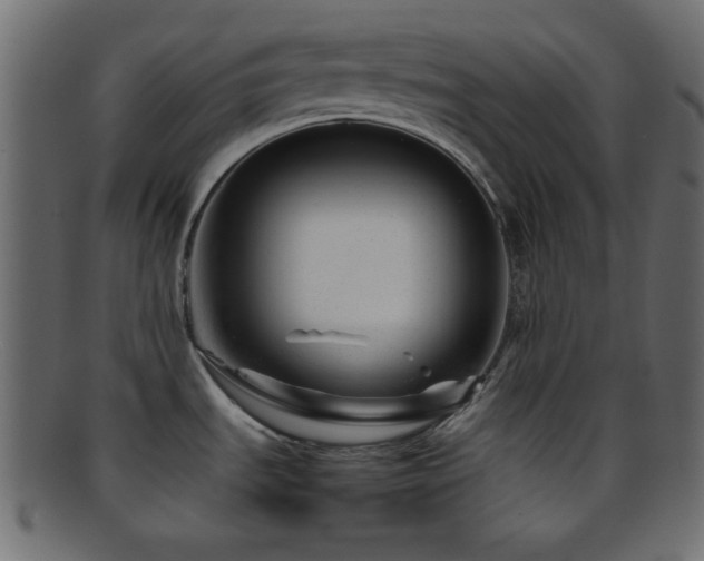 X0000095691535200801081237