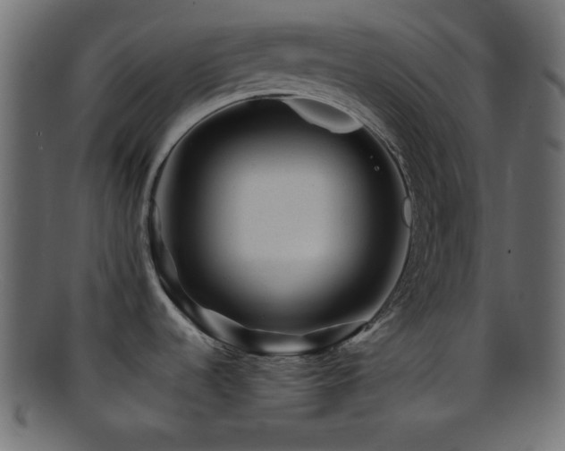 X0000095691536200801081237