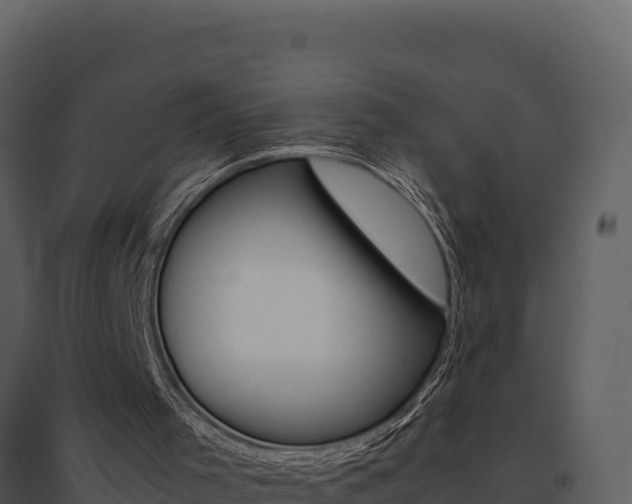 X0000095690001200801151159