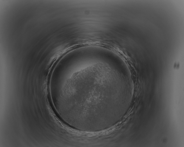 X0000095690002200801151159