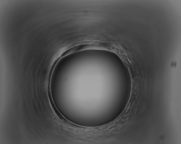 X0000095690003200801151159