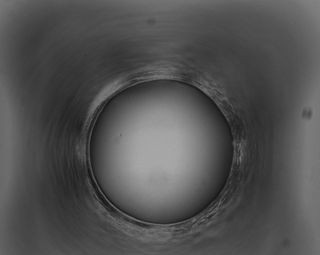 X0000095690004200801151159