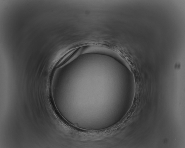 X0000095690005200801151159