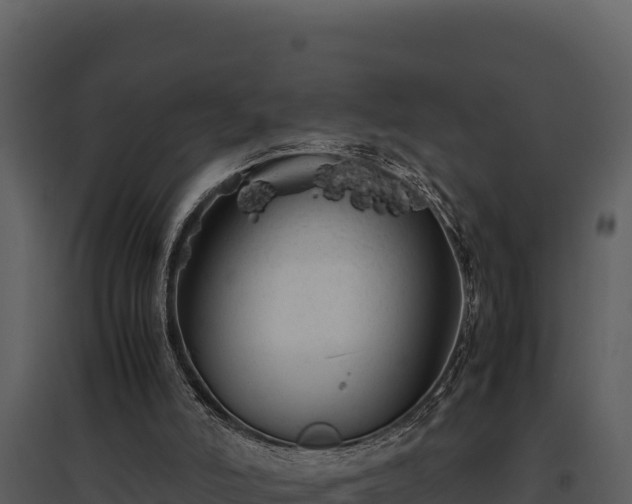 X0000095690006200801151159