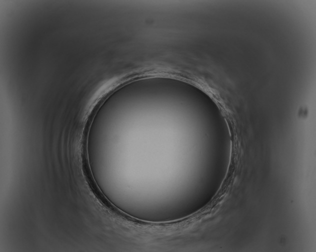 X0000095690007200801151159