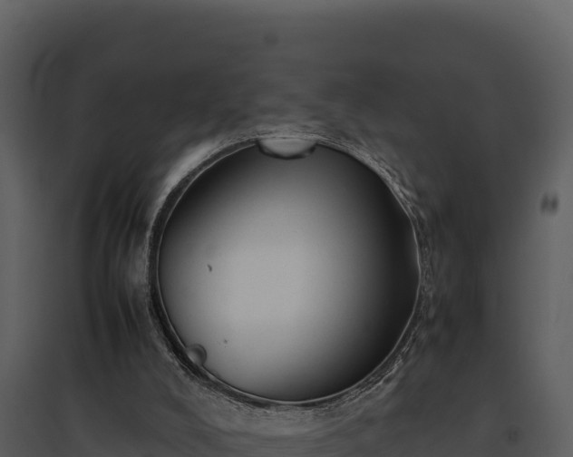 X0000095690008200801151159