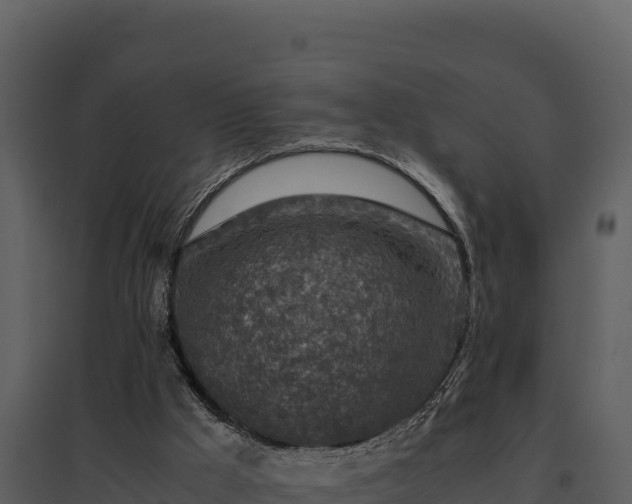 X0000095690009200801151159