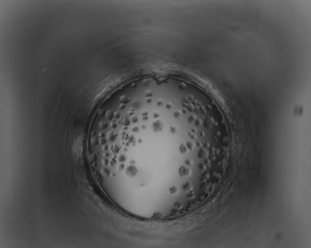 X0000095690010200801151159