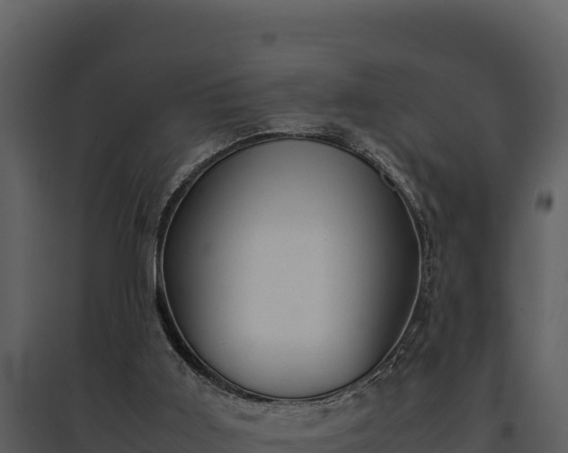 X0000095690011200801151159