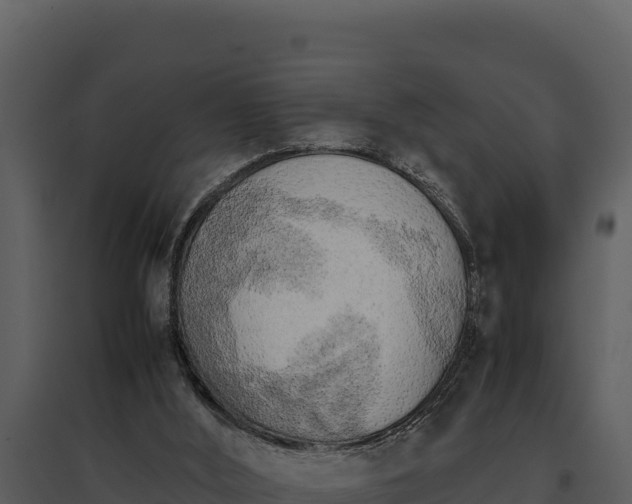 X0000095690012200801151159