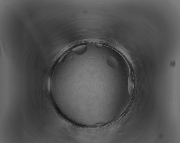 X0000095690013200801151159