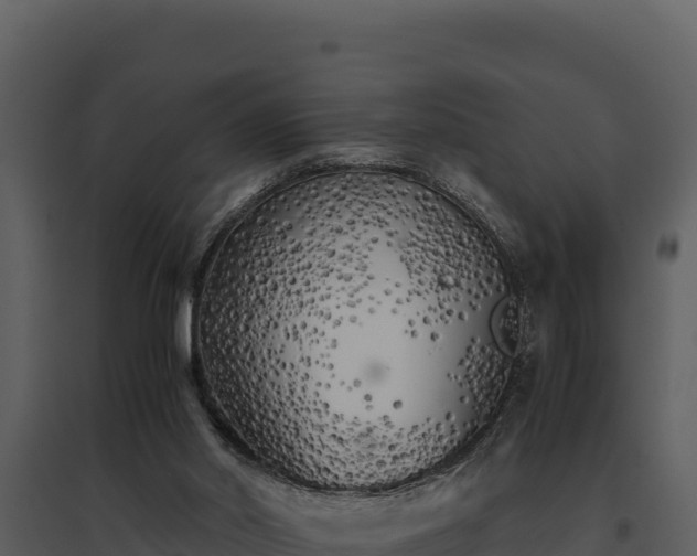 X0000095690014200801151159