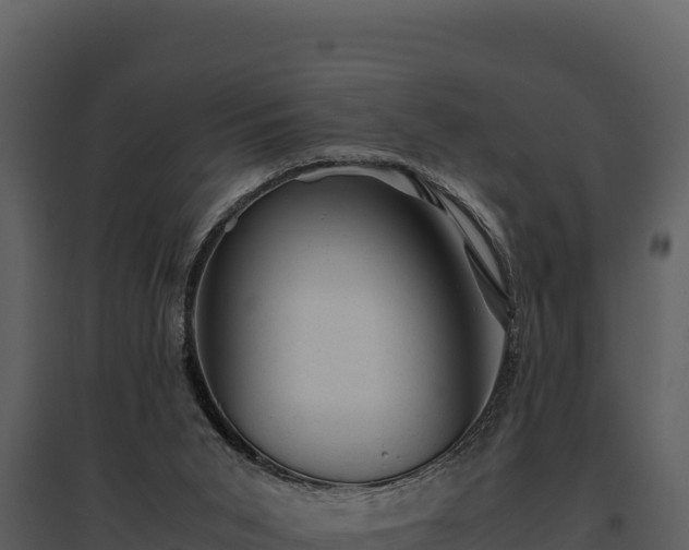 X0000095690015200801151159