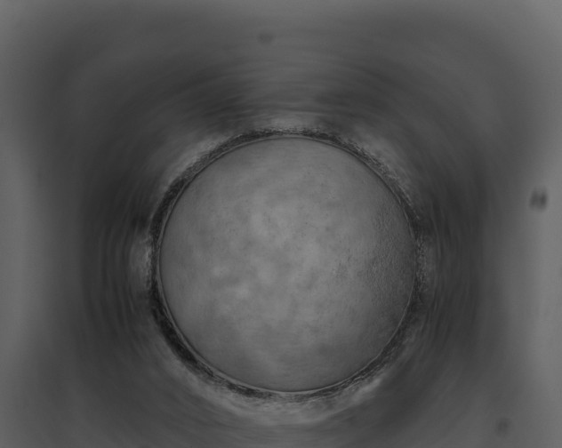 X0000095690016200801151159