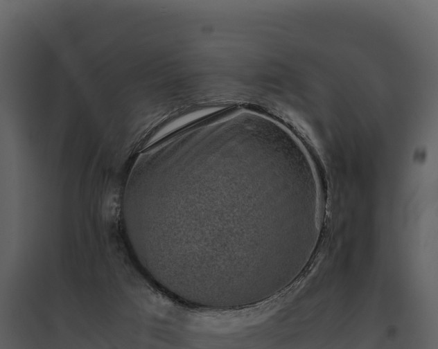 X0000095690017200801151159