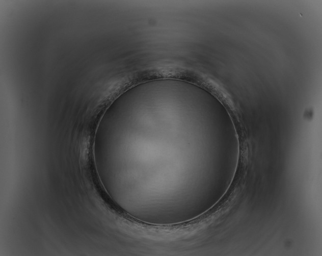 X0000095690018200801151159