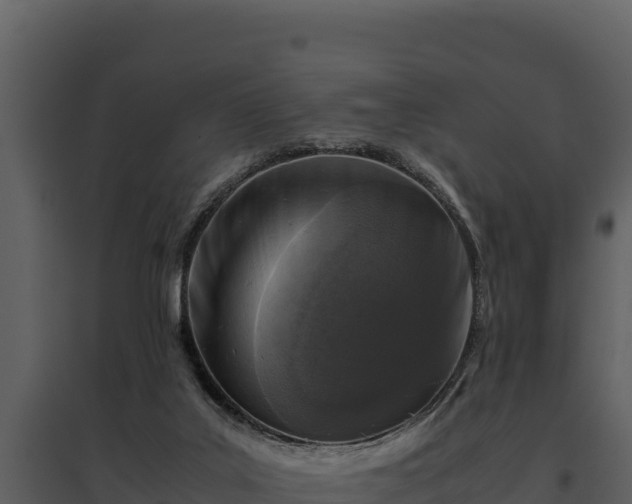 X0000095690019200801151159