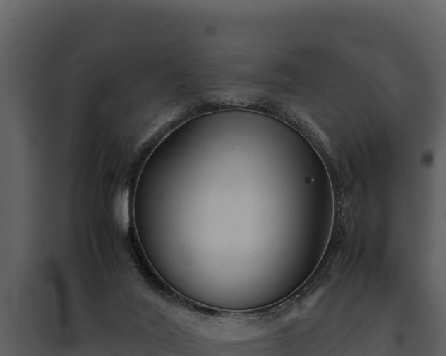 X0000095690020200801151159