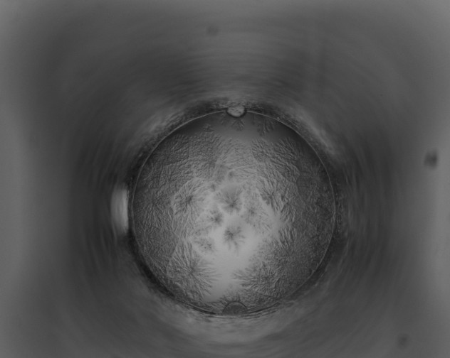 X0000095690022200801151159