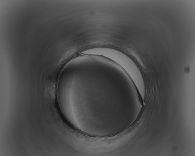 X0000095690023200801151159